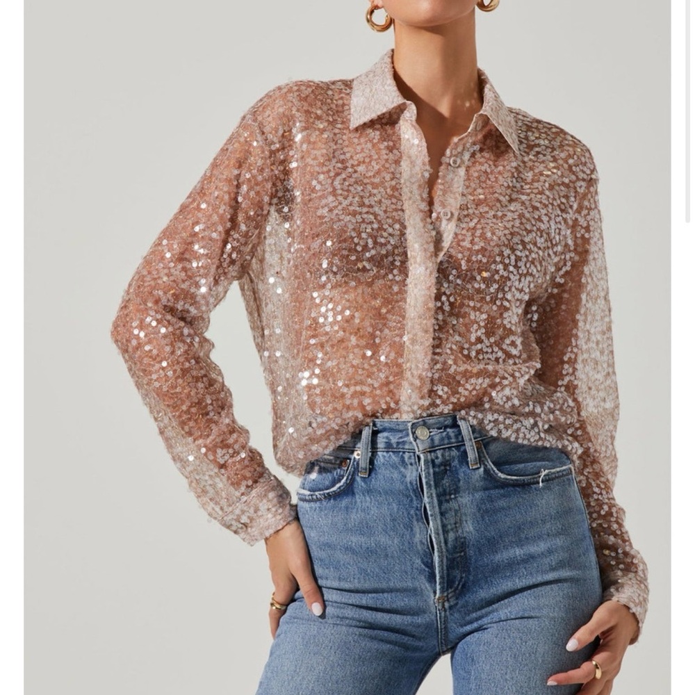 Astr Sequin Sheer Button-Down Top in Blush Pink
